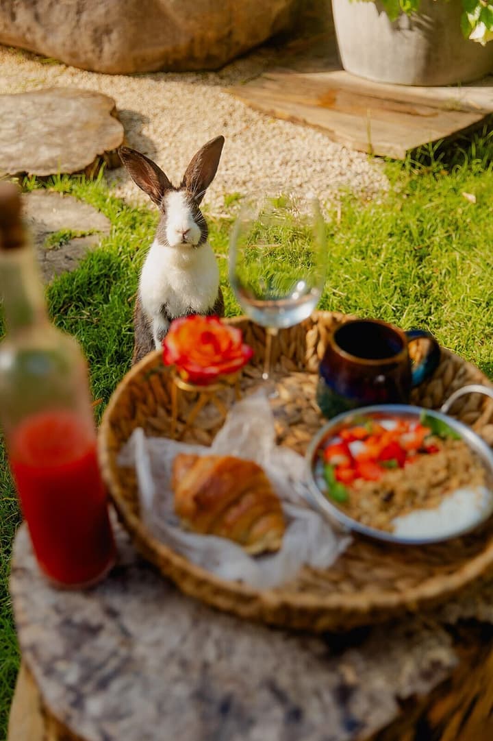 Green Land Bubble Glamping