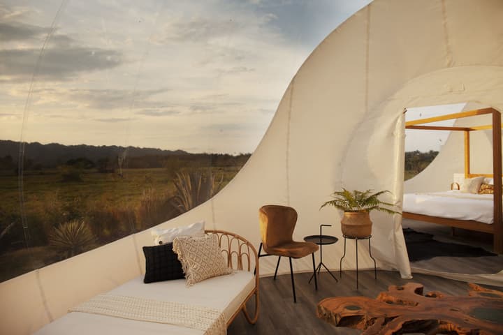 Green Land Bubble Glamping