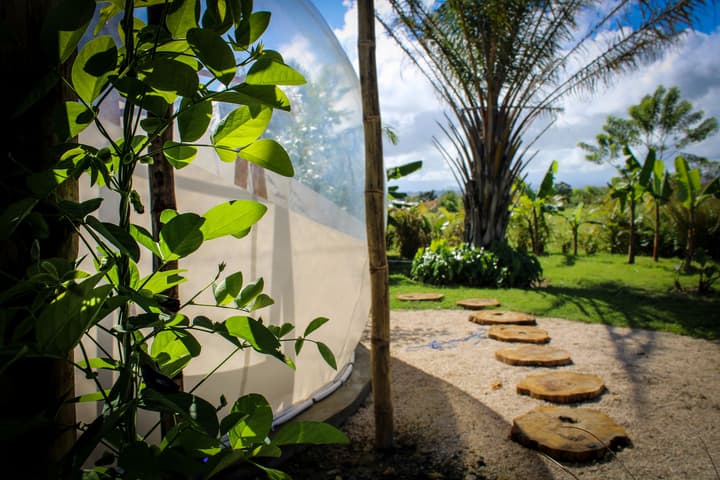 Green Land Bubble Glamping
