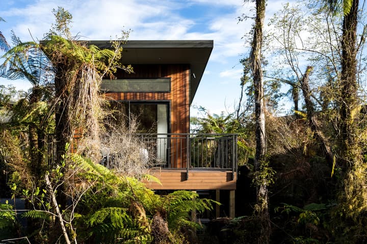Rainforest Deluxe