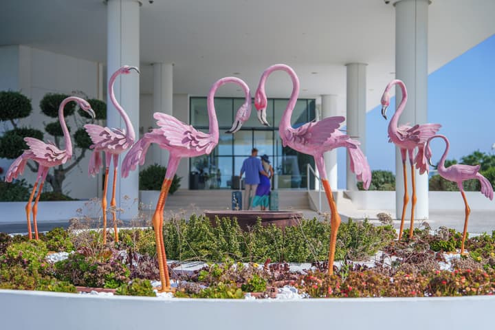 Flamingo Paradise Beach Hotel Adults Only