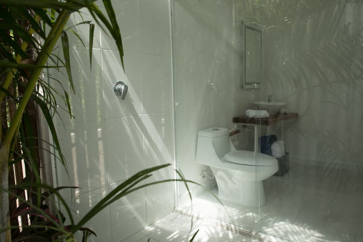 Zensus Eco Boutique Hotel