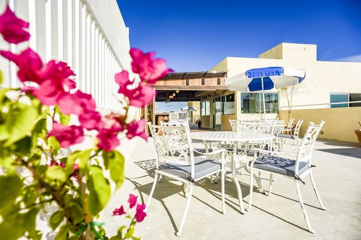 12 Bees Hotel