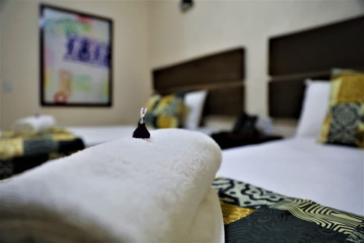 12 Bees Hotel