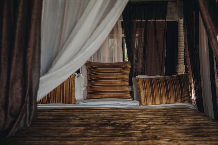 Kalyptus Luxury Camp
