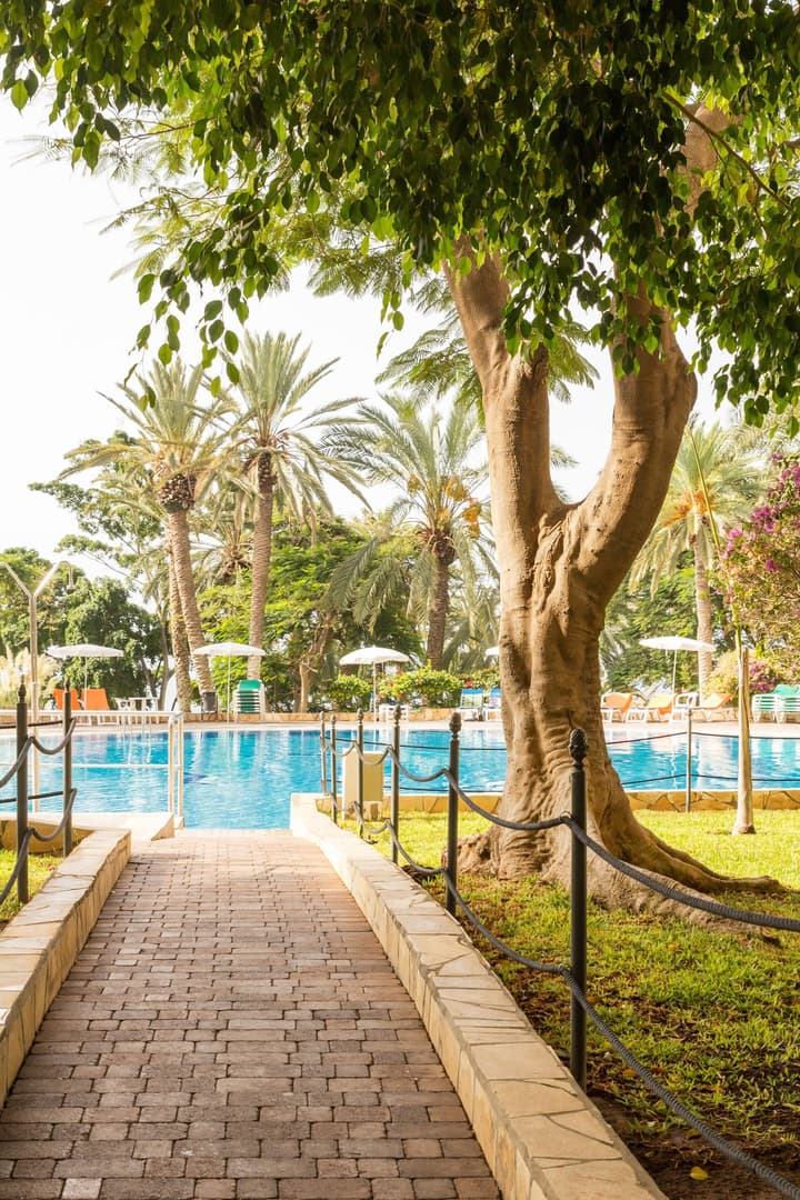 Pierre & Vacances Tenerife-Marazul del Sur