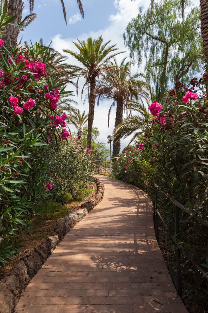 Pierre & Vacances Tenerife-Marazul del Sur