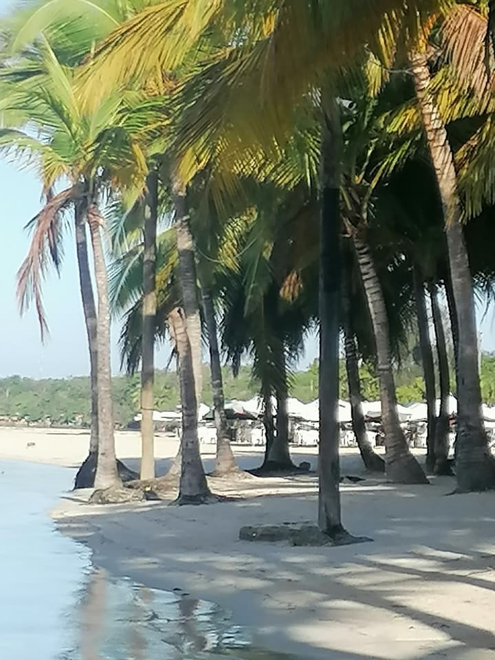 Room-apartment Monocal in Boca Chica