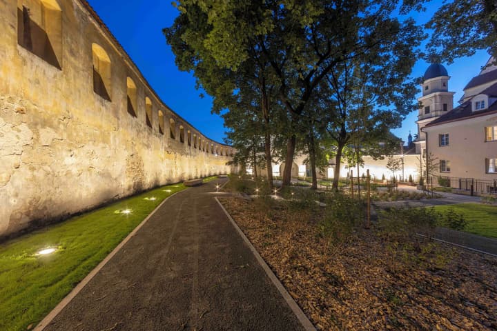 Domus Maria