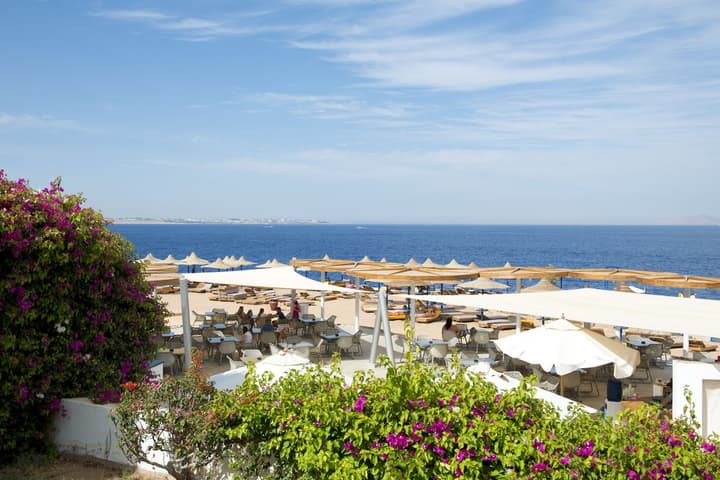 Amphoras Blu Ultra All Inclusive Adults Only