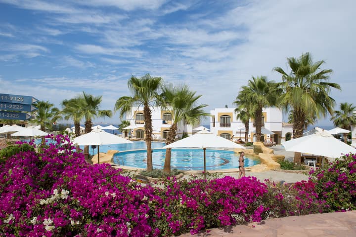 Amphoras Blu Ultra All Inclusive Adults Only