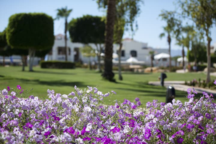 Amphoras Beach - Ultra All Inclusive