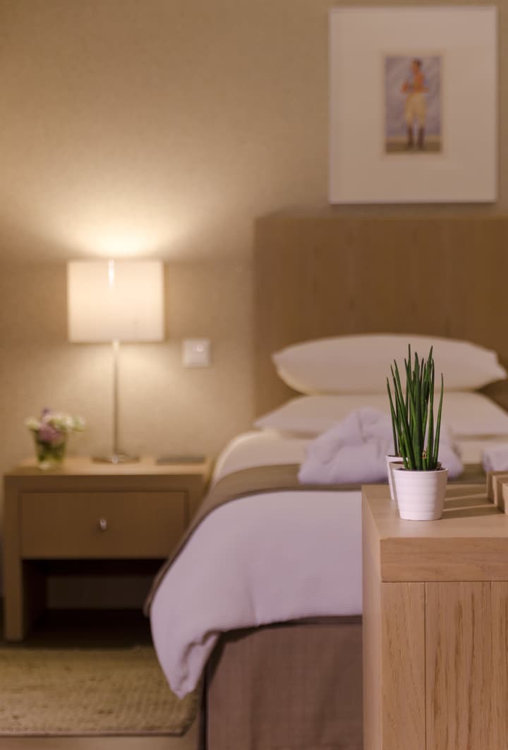 Alasia Hotel
