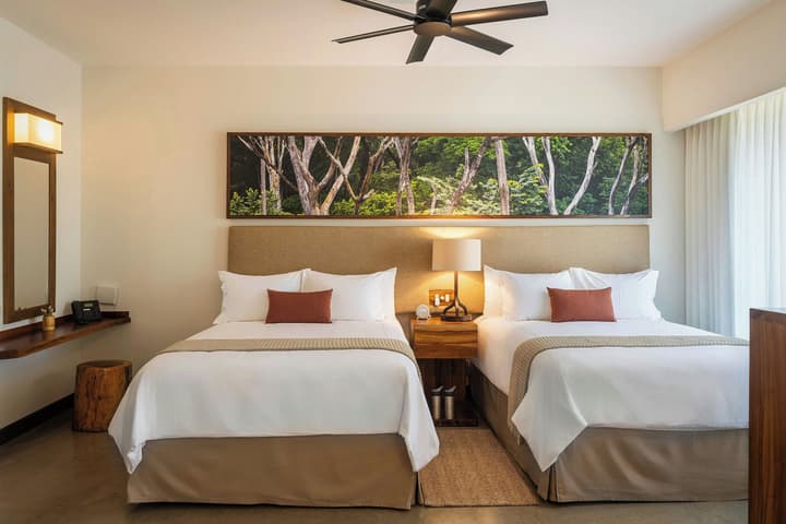 El Mangroove Papagayo, Autograph Collection