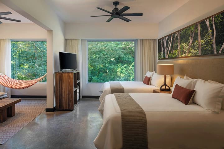 El Mangroove Papagayo, Autograph Collection