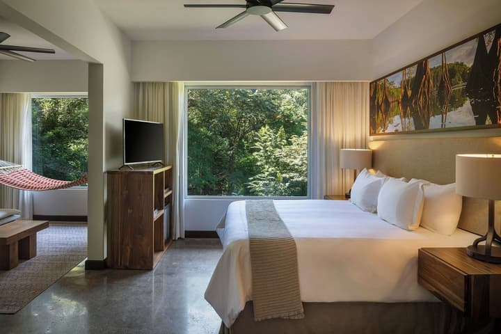El Mangroove Papagayo, Autograph Collection