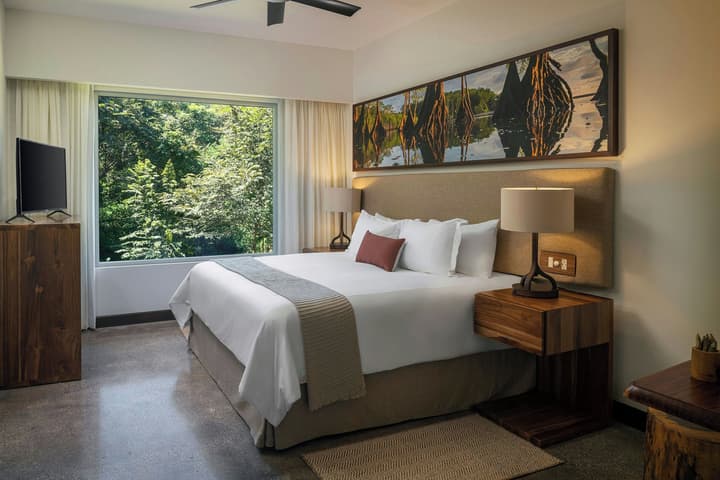 El Mangroove Papagayo, Autograph Collection