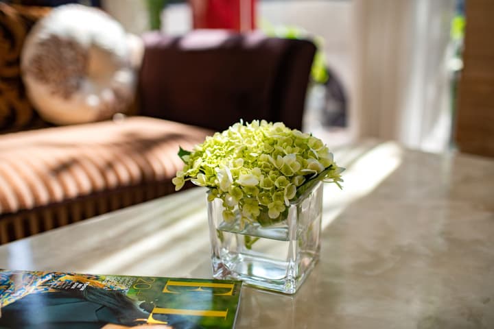 Nesta Hotel Ha Noi