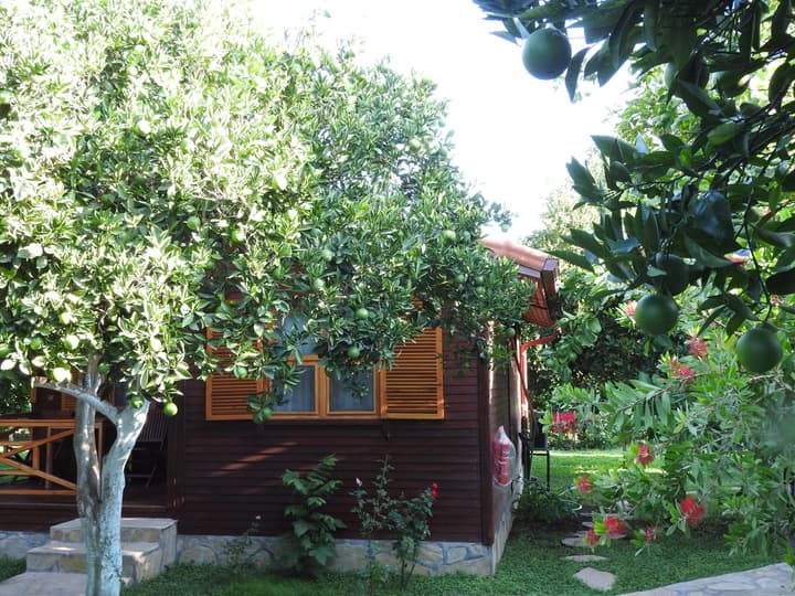Mercan Bungalow