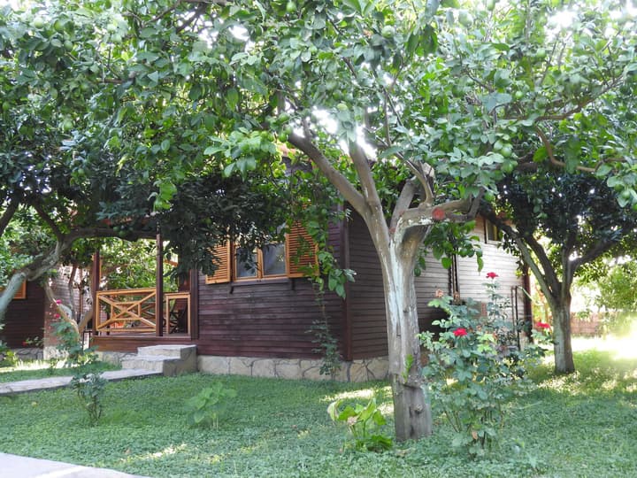 Mercan Bungalow