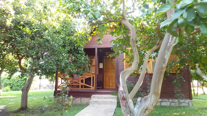 Mercan Bungalow