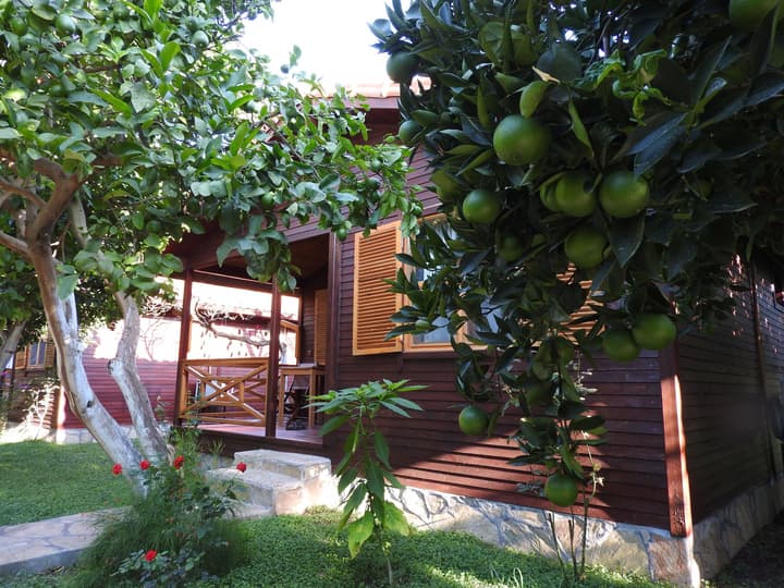 Mercan Bungalow