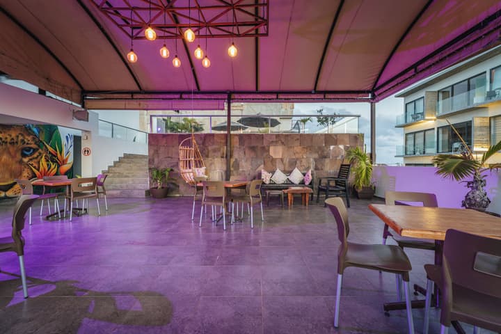Soho Playa Hotel