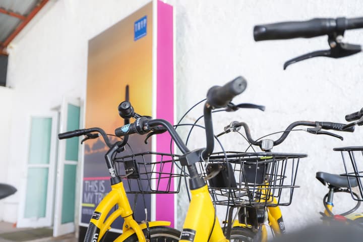 TRYP by Wyndham Chetumal