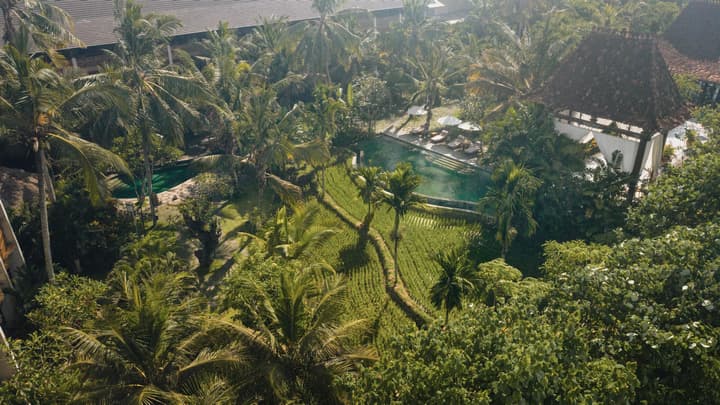 Alaya Resort Ubud