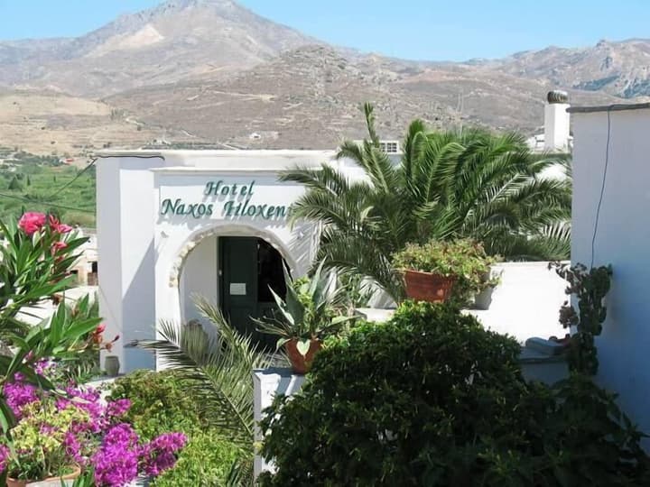 Hotel Naxos Filoxenia