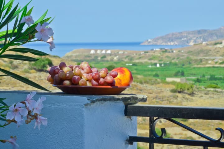 Hotel Naxos Filoxenia