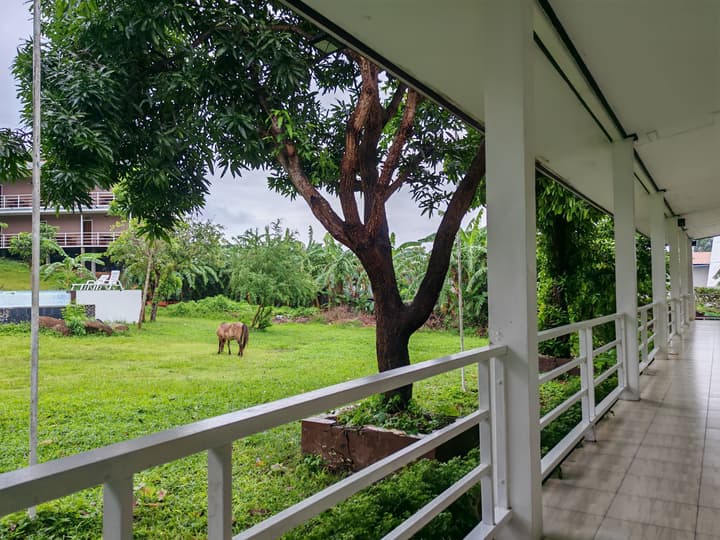 Phi Phi Chang Grand Resort & Spa