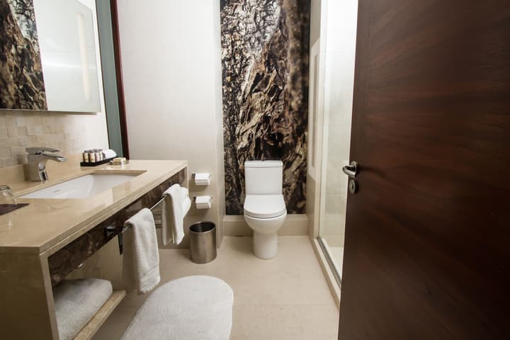 Renaissance Santiago Hotel by Marriott