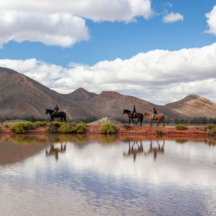 Aquila Private Game Reserve & Spa