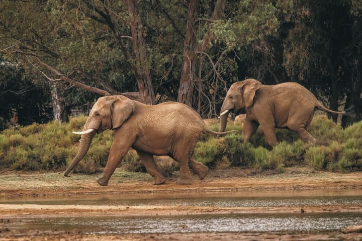 Aquila Private Game Reserve & Spa