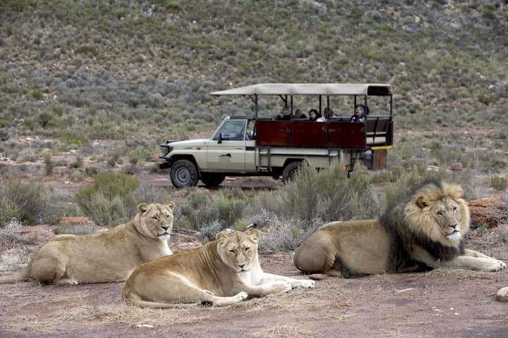 Aquila Private Game Reserve & Spa