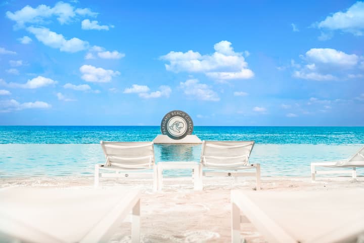 Papagayo Beach Hotel