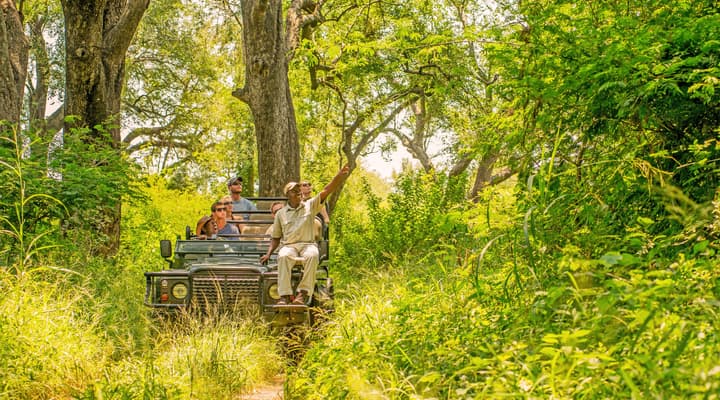 Karongwe - Chisomo Safari Camp