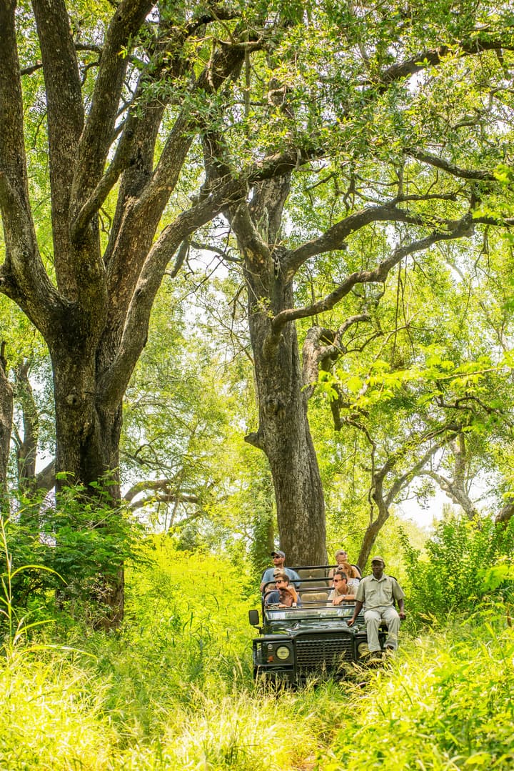 Karongwe - Chisomo Safari Camp