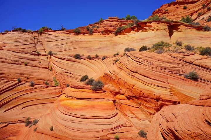 Best Western View Of Lake Powell Hotel