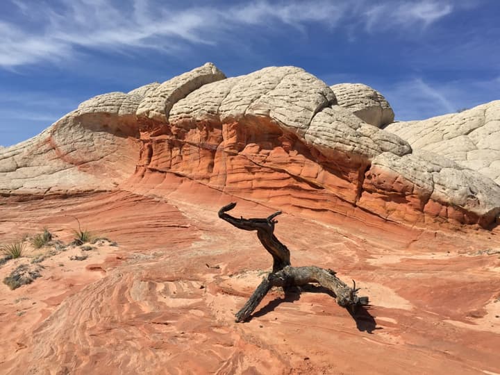 Best Western View Of Lake Powell Hotel