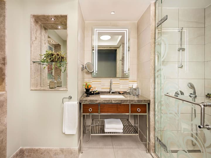 The Artisan Hotel Istanbul - MGallery Collection