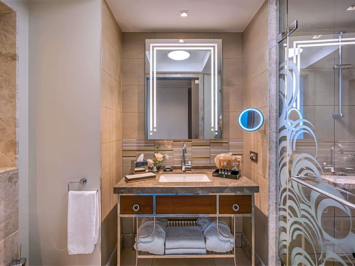 The Artisan Hotel Istanbul - MGallery Collection