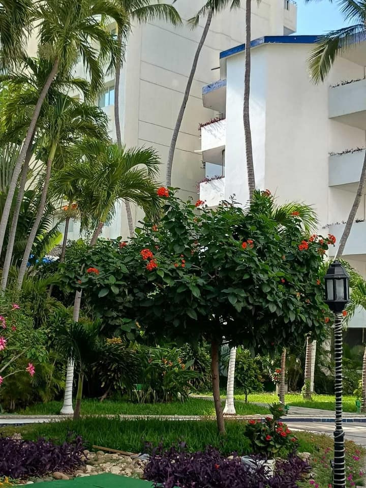 Hotel Acapulco Malibu