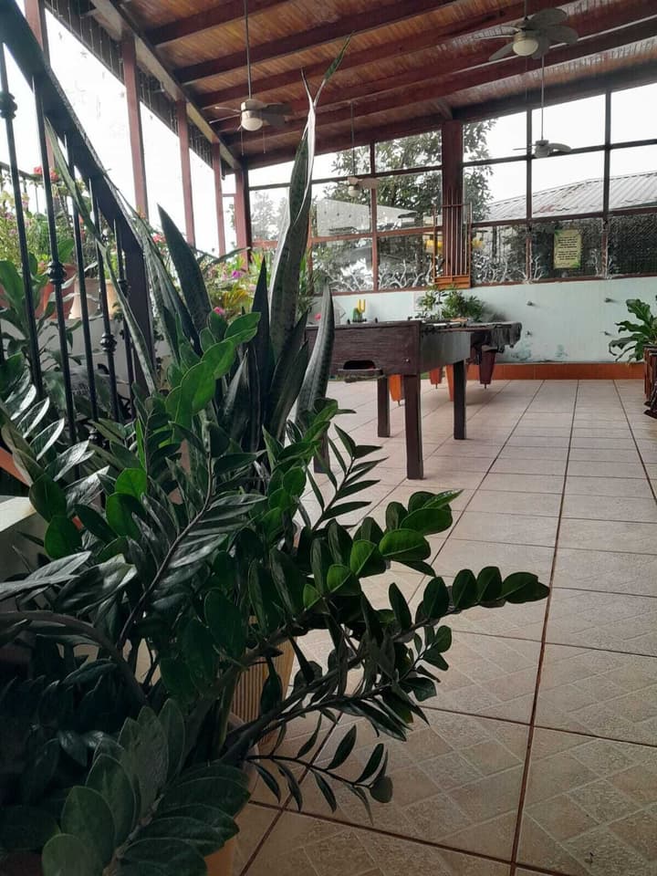 Natural Pacific Suites