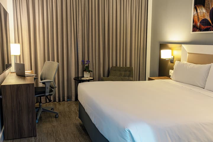 Holiday Inn Belo Horizonte Savassi by IHG