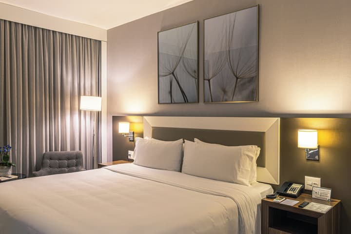 Holiday Inn Belo Horizonte Savassi by IHG