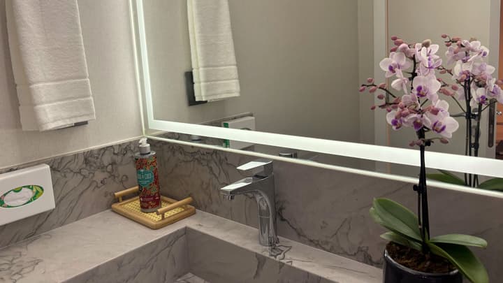 Holiday Inn Belo Horizonte Savassi by IHG