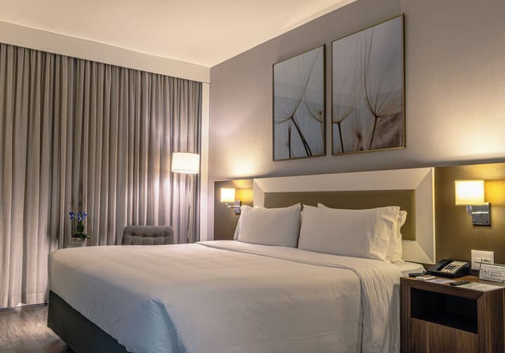 Holiday Inn Belo Horizonte Savassi by IHG