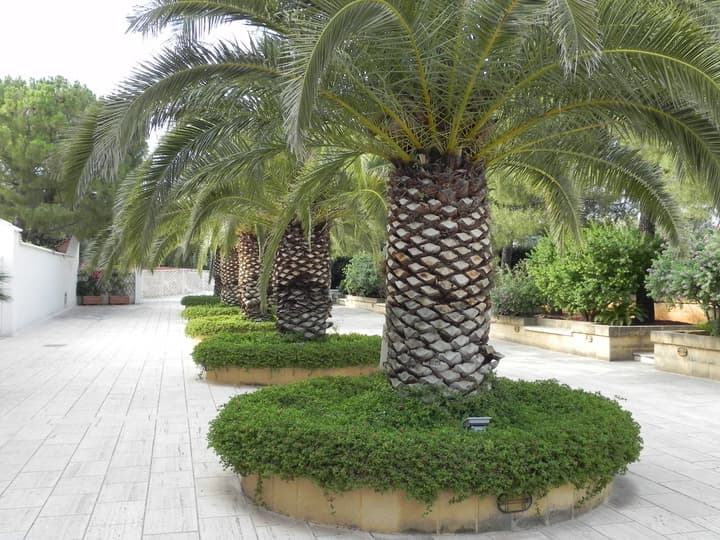 Hotel Vecchio Mulino